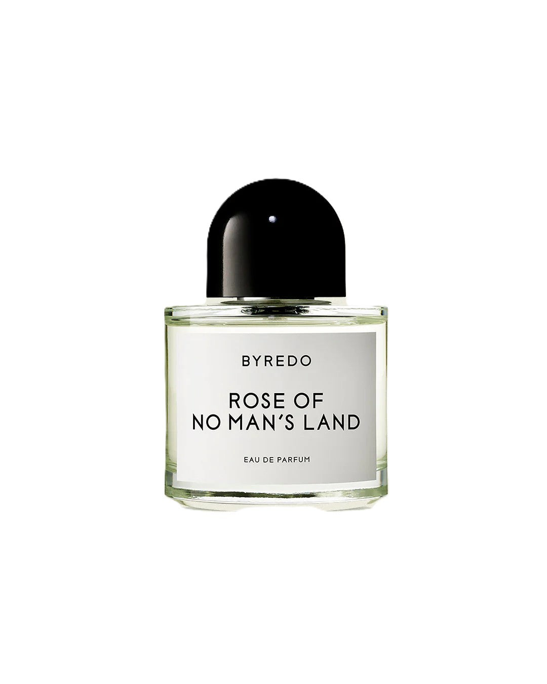 Rose of no man's land